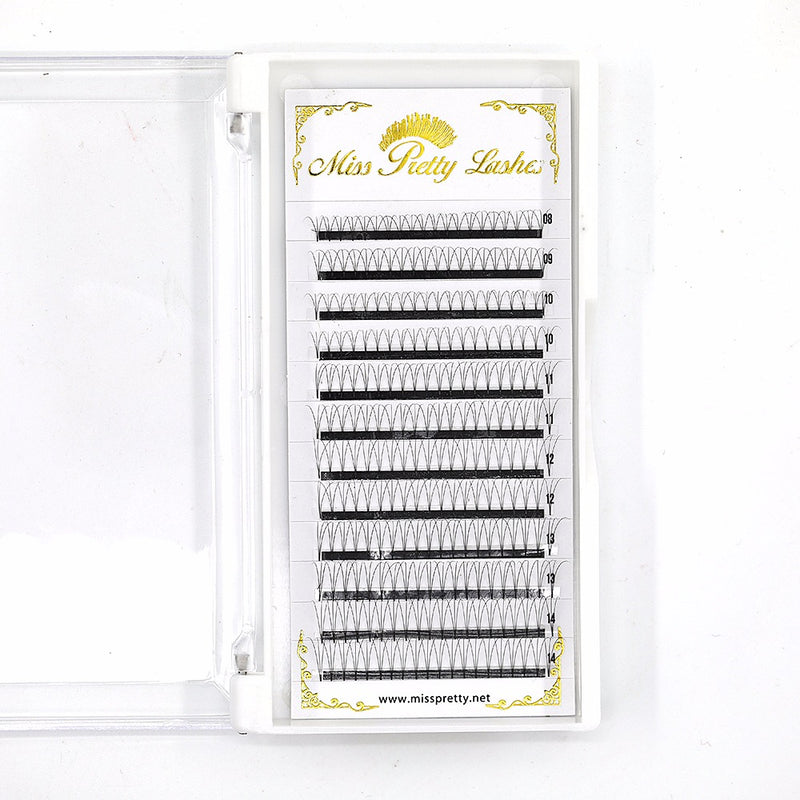 Mixed tray premade volume 3D C curl